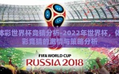 体彩世界杯竞猜分析-2022年世界杯，体彩竞猜的激情与策略分析