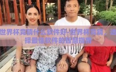 世界杯竞猜什么软件好-世界杯竞猜，选择最佳软件的智慧指南