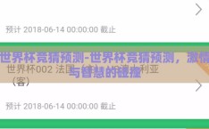 世界杯竞猜预测-世界杯竞猜预测，激情与智慧的碰撞