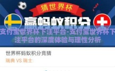 支付宝世界杯下注平台-支付宝世界杯下注平台的深度体验与理性分析