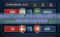 世界杯下注官网-世界杯激情与理性下注，官方平台的智慧选择