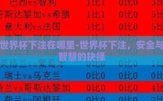 世界杯下注在哪里-世界杯下注，安全与智慧的抉择