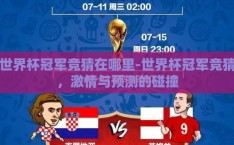 世界杯冠军竞猜在哪里-世界杯冠军竞猜，激情与预测的碰撞