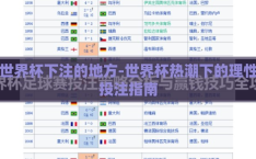 世界杯下注的地方-世界杯热潮下的理性投注指南