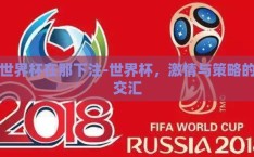 世界杯在那下注-世界杯，激情与策略的交汇