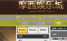 足球竞猜计算器世界杯-足球竞猜计算器，世界杯的智胜之道