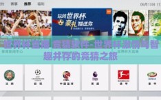 世界杯直播 竞猜软件-世界杯激情与智趣并存的竞猜之旅
