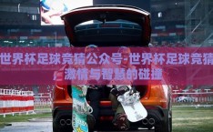 世界杯足球竞猜公众号-世界杯足球竞猜，激情与智慧的碰撞