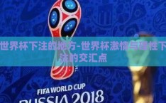 世界杯下注的地方-世界杯激情与理性下注的交汇点