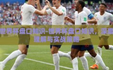 世界杯盘口知识-世界杯盘口知识，深度理解与实战策略