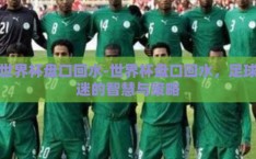 世界杯盘口回水-世界杯盘口回水，足球迷的智慧与策略