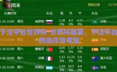 下注平台世界杯-世界杯盛宴，下注平台的选择与考量