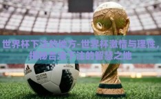 世界杯下注的地方-世界杯激情与理性，揭秘合法下注的智慧之地