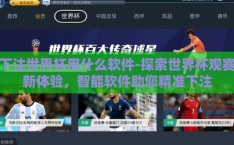 下注世界杯用什么软件-探索世界杯观赛新体验，智能软件助您精准下注