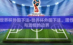 世界杯外围下注-世界杯外围下注，理性与激情的边界