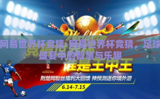 网易世界杯竞猜-网易世界杯竞猜，足球盛宴中的智慧与乐趣