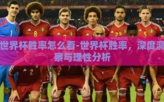 世界杯胜率怎么看-世界杯胜率，深度洞察与理性分析
