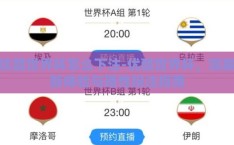 优酷世界杯怎么下注-优酷世界杯，观赛新体验与理性投注指南