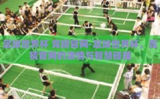 足球世界杯 竞猜官网-足球世界杯，竞猜官网的激情与智慧碰撞