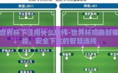 世界杯下注用什么软件-世界杯观赛新体验，安全下注的智慧选择