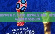 世界杯怎么下注的-世界杯足球赛，理性与激情的投注艺术