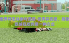 世界杯怎样参与竞猜-世界杯竞猜，解锁足球狂欢的另一种方式