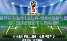 世界杯下注用什么软件-世界杯激情与理性，选择合适的下注软件指南