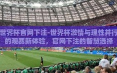 世界杯官网下注-世界杯激情与理性并行的观赛新体验，官网下注的智慧选择