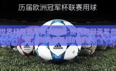 世界杯冠亚军竞猜官网-世界杯冠亚军竞猜，激情与智慧的碰撞