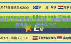 用什么下注世界杯-世界杯，理性与激情的博弈——用什么下注