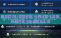 世界杯投注竞猜在哪-世界杯投注竞猜，揭秘精彩与乐趣的交汇点