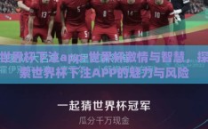世界杯下注app-世界杯激情与智慧，探索世界杯下注APP的魅力与风险