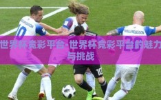 世界杯竞彩平台-世界杯竞彩平台的魅力与挑战