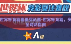 世界杯竞猜哪里买彩票-世界杯竞猜，安全购彩指南