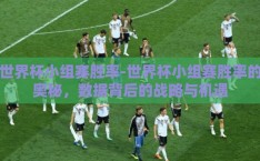 世界杯小组赛胜率-世界杯小组赛胜率的奥秘，数据背后的战略与机遇