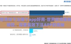 世界杯下注哪个app好用-世界杯观赛新体验，探索高效下注APP的奥秘