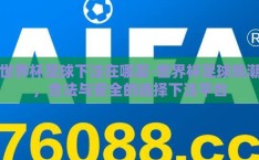 世界杯足球下注在哪买-世界杯足球热潮，合法与安全的选择下注平台