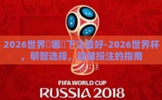 2026世界盃哪裡下注最好-2026世界杯，明智选择，稳健投注的指南