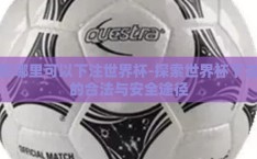在哪里可以下注世界杯-探索世界杯下注的合法与安全途径