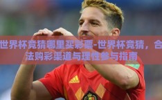 世界杯竞猜哪里买彩票-世界杯竞猜，合法购彩渠道与理性参与指南