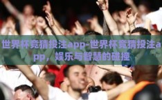 世界杯竞猜投注app-世界杯竞猜投注app，娱乐与智慧的碰撞