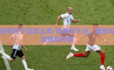 世界杯下注怎么弄-世界杯下注，理性与激情的平衡