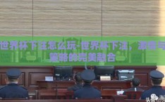 世界杯下注怎么玩-世界杯下注，激情与策略的完美融合