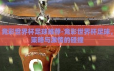 竞彩世界杯足球推荐-竞彩世界杯足球，策略与激情的碰撞