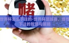 世界杯怎么下注的-世界杯足球赛，理性下注的智慧与策略