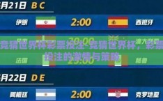 竞猜世界杯彩票投注-竞猜世界杯，彩票投注的激情与策略