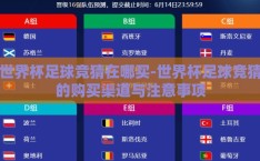 世界杯足球竞猜在哪买-世界杯足球竞猜的购买渠道与注意事项