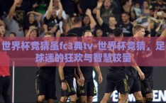 世界杯竞猜虽fc3典tv-世界杯竞猜，足球迷的狂欢与智慧较量