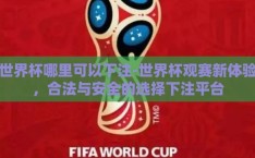 世界杯哪里可以下注-世界杯观赛新体验，合法与安全的选择下注平台