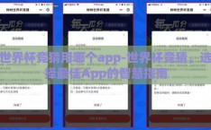 世界杯竞猜用哪个app-世界杯竞猜，选择最佳App的智慧指南